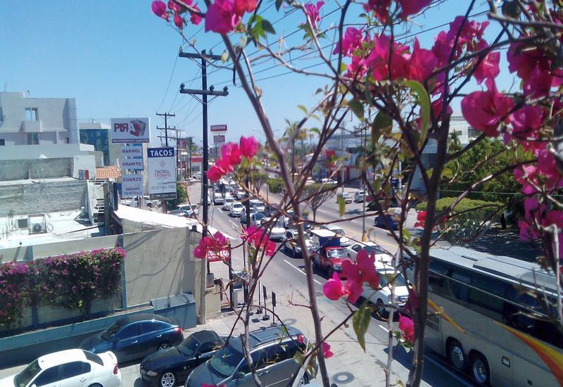Hotel Mazatlán Exterior foto